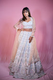 Pastel Embroidered Lehenga